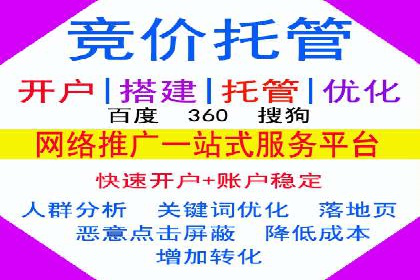 百度推广成功案例分析